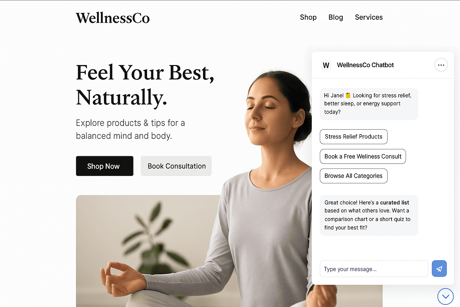 Website_Live_Chatbot_example