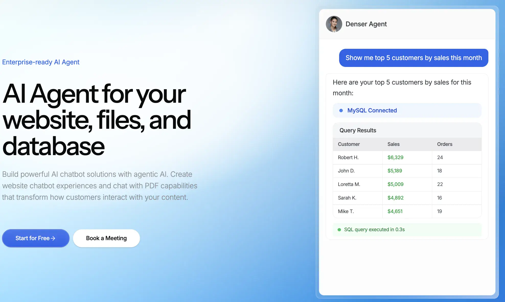 Denser AI chatbot dashboard with conversation interface