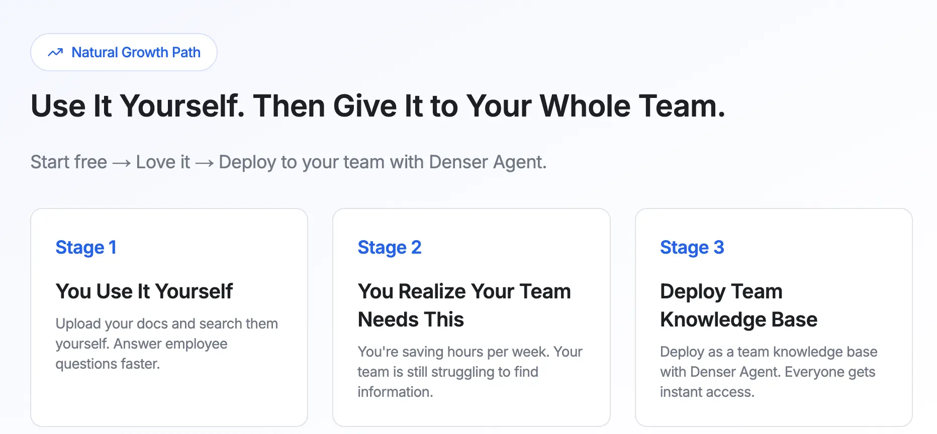 Denser AI Lead Capture